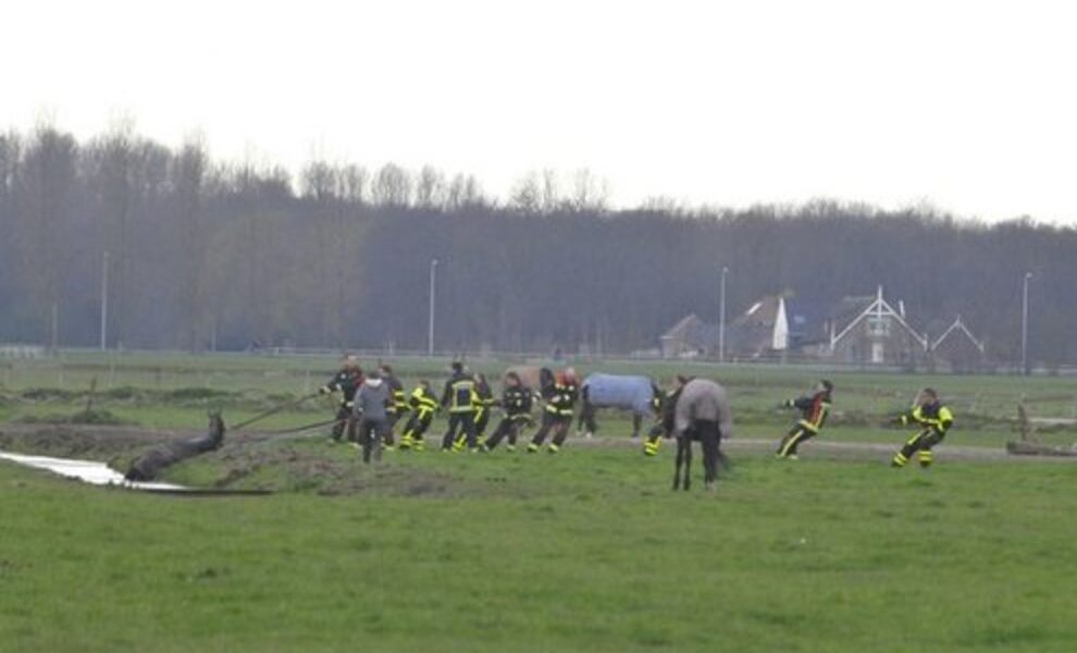 Brandweer Redt Paard | Sleutelstad