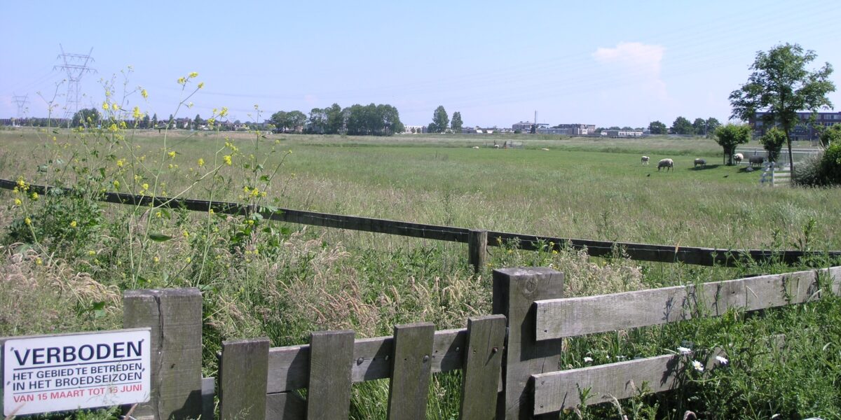 Leiderdorp start procedure voor verpachten gronden Boterhuispolder