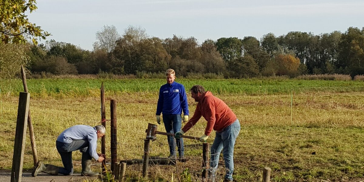 Groene vingers gezocht tijdens Natuurwerkdagen