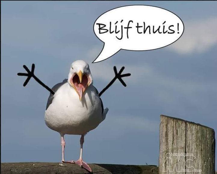 Marianne de Jong roept iedereen op om thuis te blijven