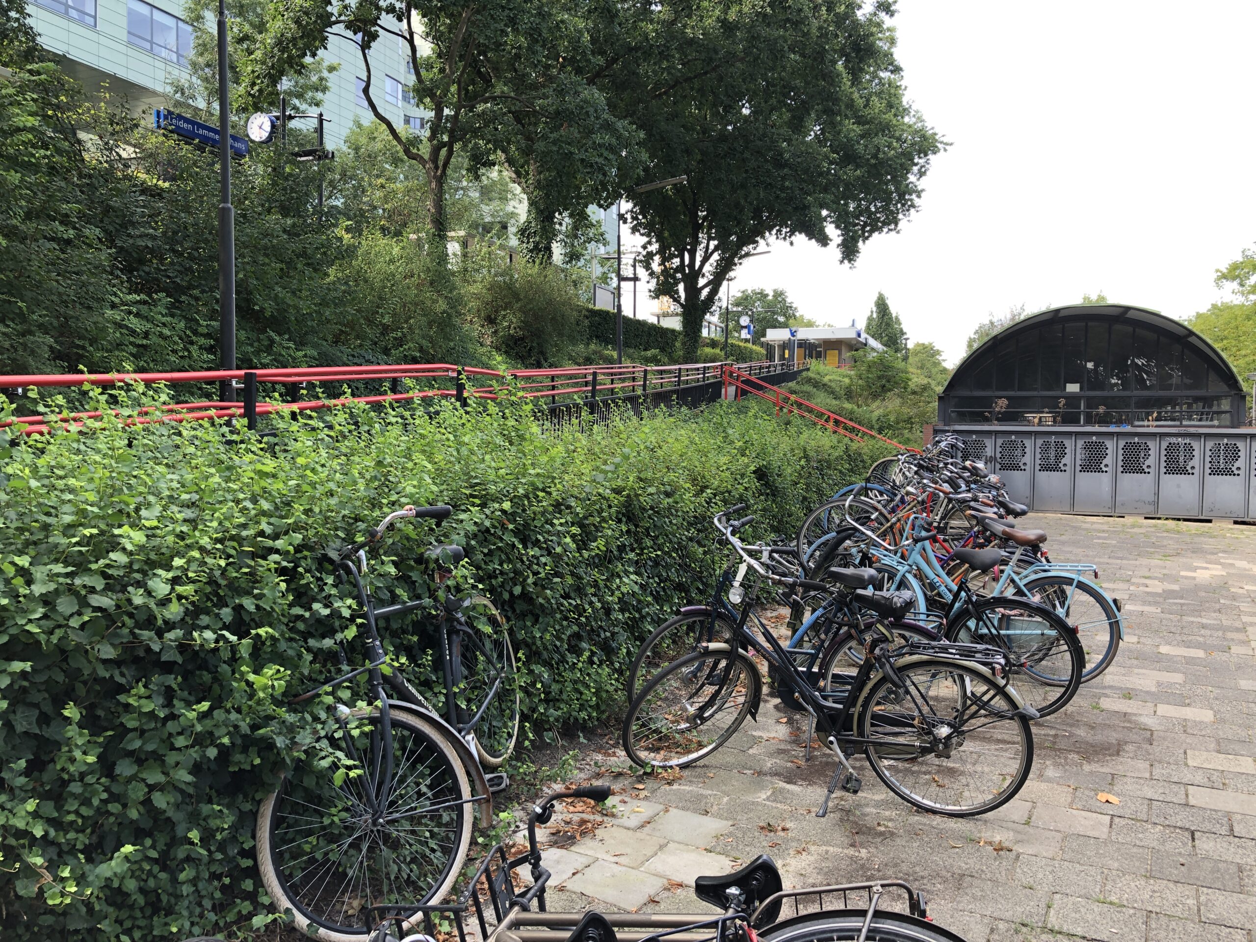 voorspelling Terughoudendheid invoeren Buurtbewoners Lammenschans verbaasd over plannen extra fietsenrekken |  Sleutelstad
