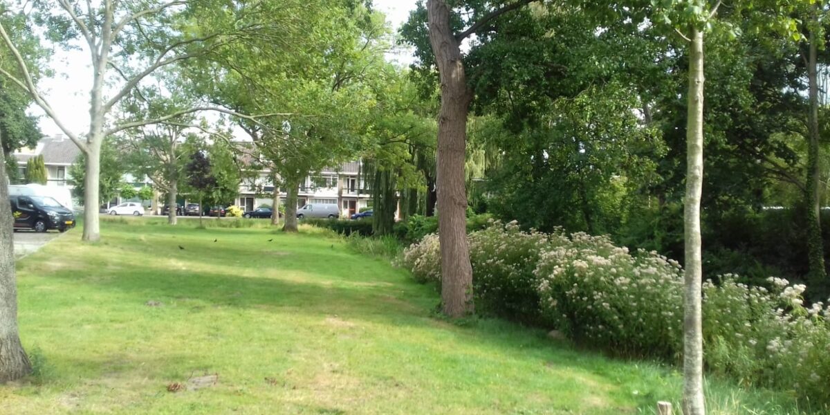 Voedseltuin Voorschoten uitgesteld na bezwaar: 'Ze moeten er samen uitkomen' - Sleutelstad