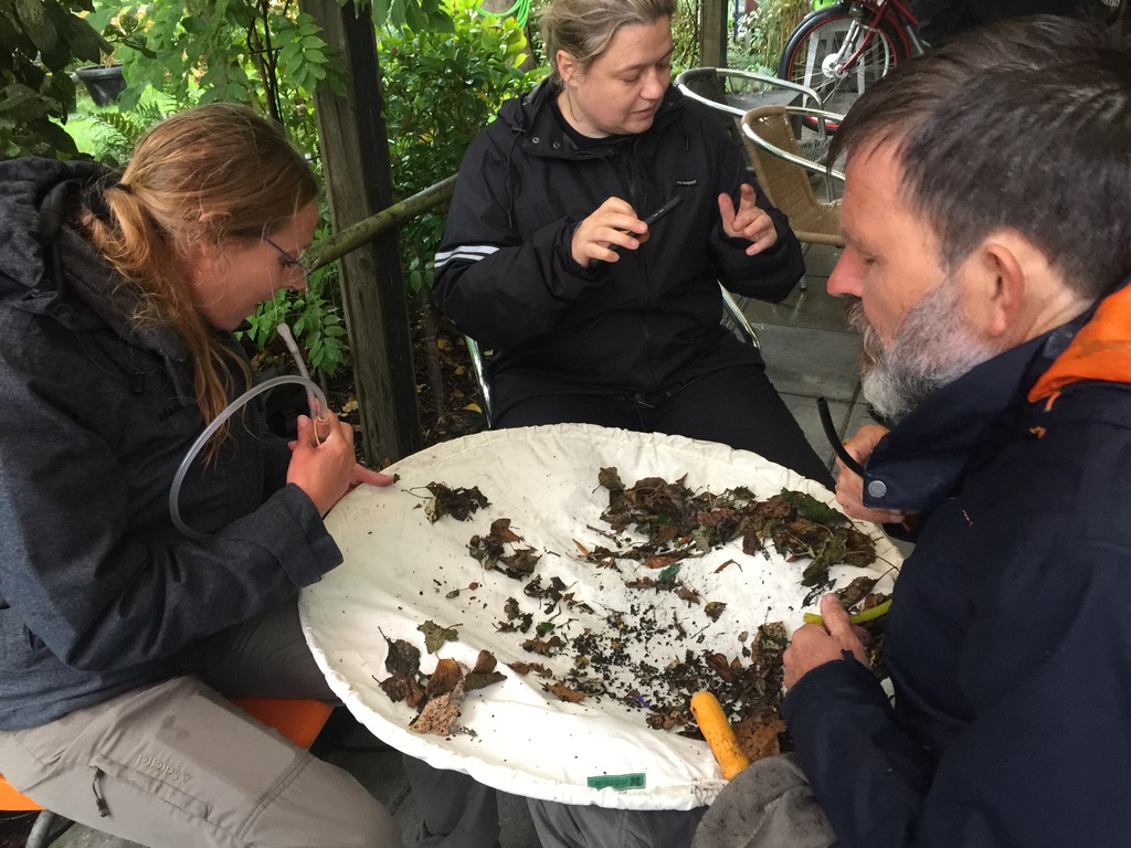 Aglaia Bouma, Antje Jordan en Jan Wieringa zoeken naar beestjes die ze nader willen bekijken