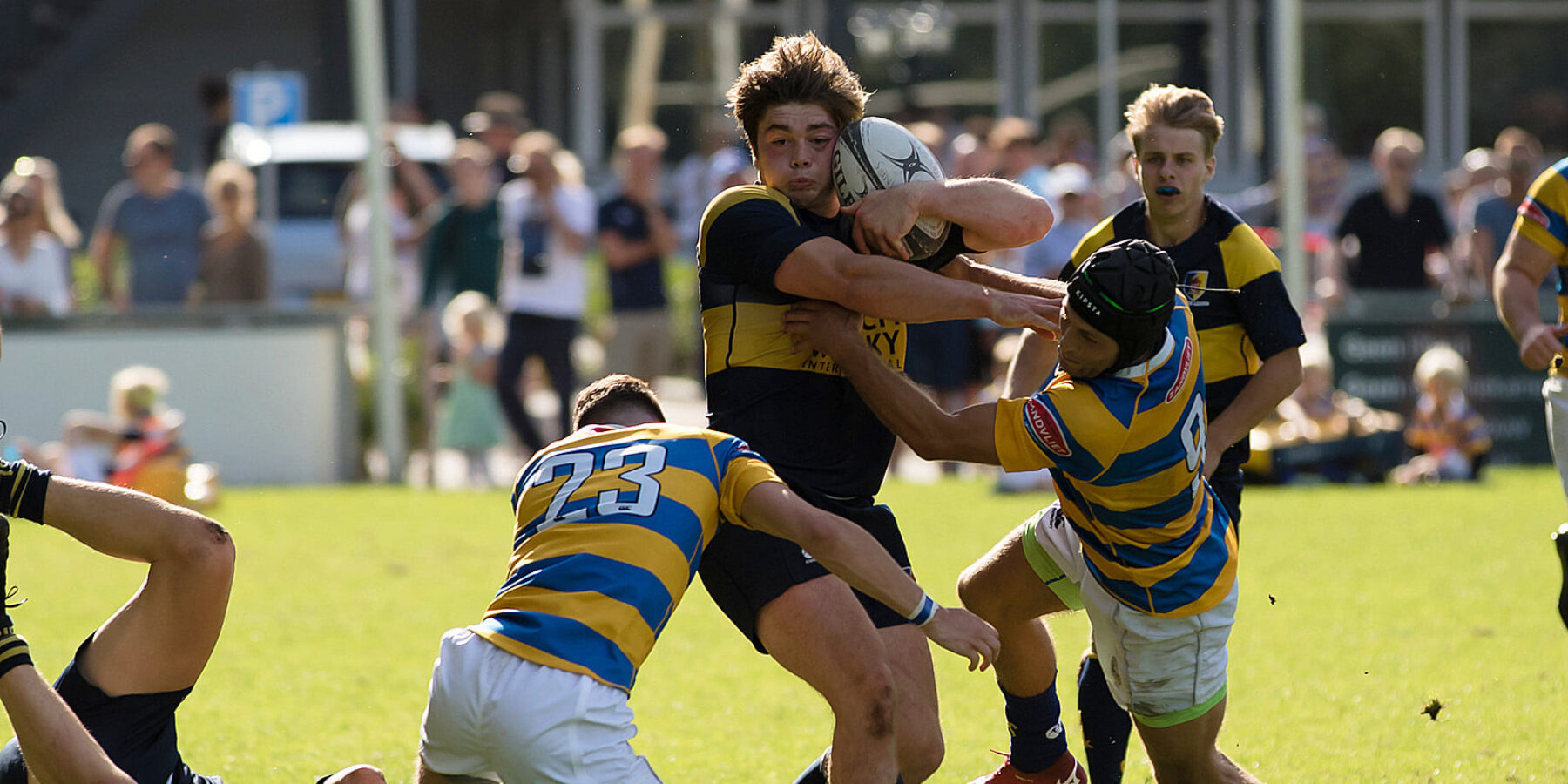 lezing Steil Kreet Rugbyseizoen van start: 'we hopen vooral dat we alle wedstrijden kunnen  spelen' | Sleutelstad