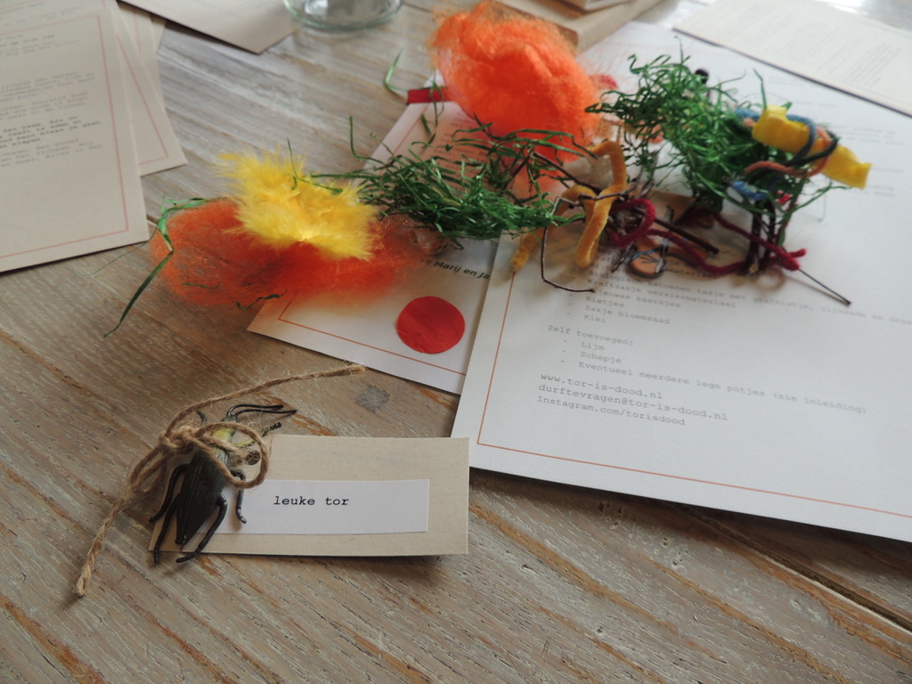 De leuke tor om wie het allemaal draait.