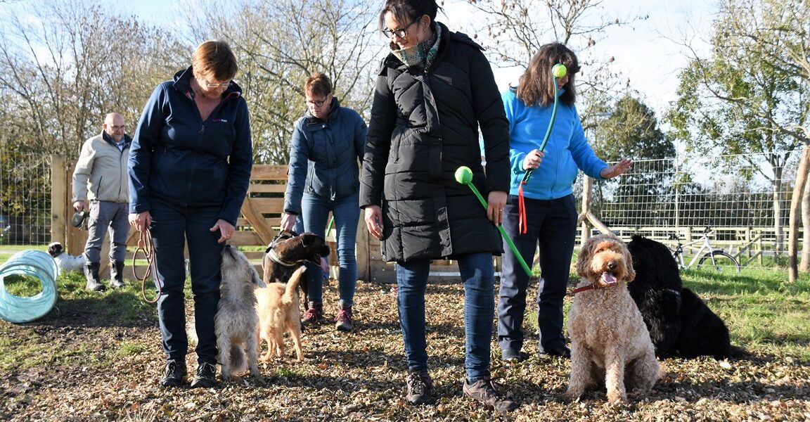 Hondenspeelveld Zoeterwoude officieel geopend