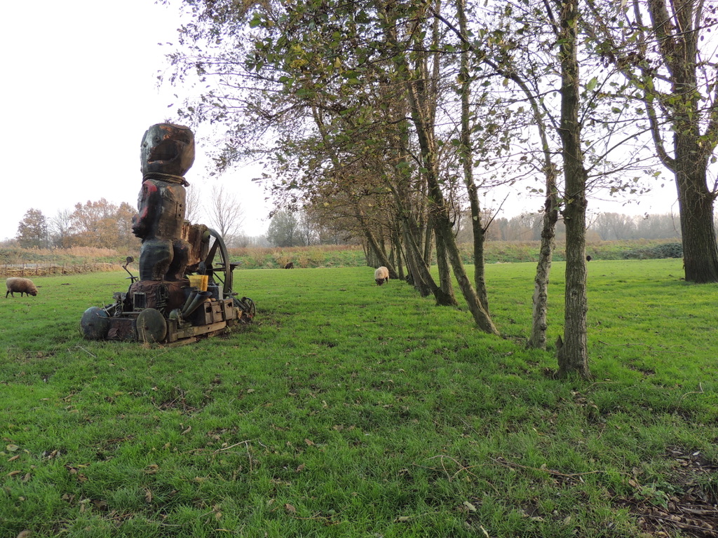 De schapen hebben alle ruimte