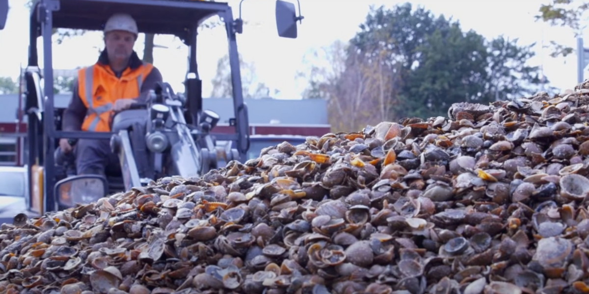Innovatieve schelpentechniek zuivert regenwater in Zoeterwoude