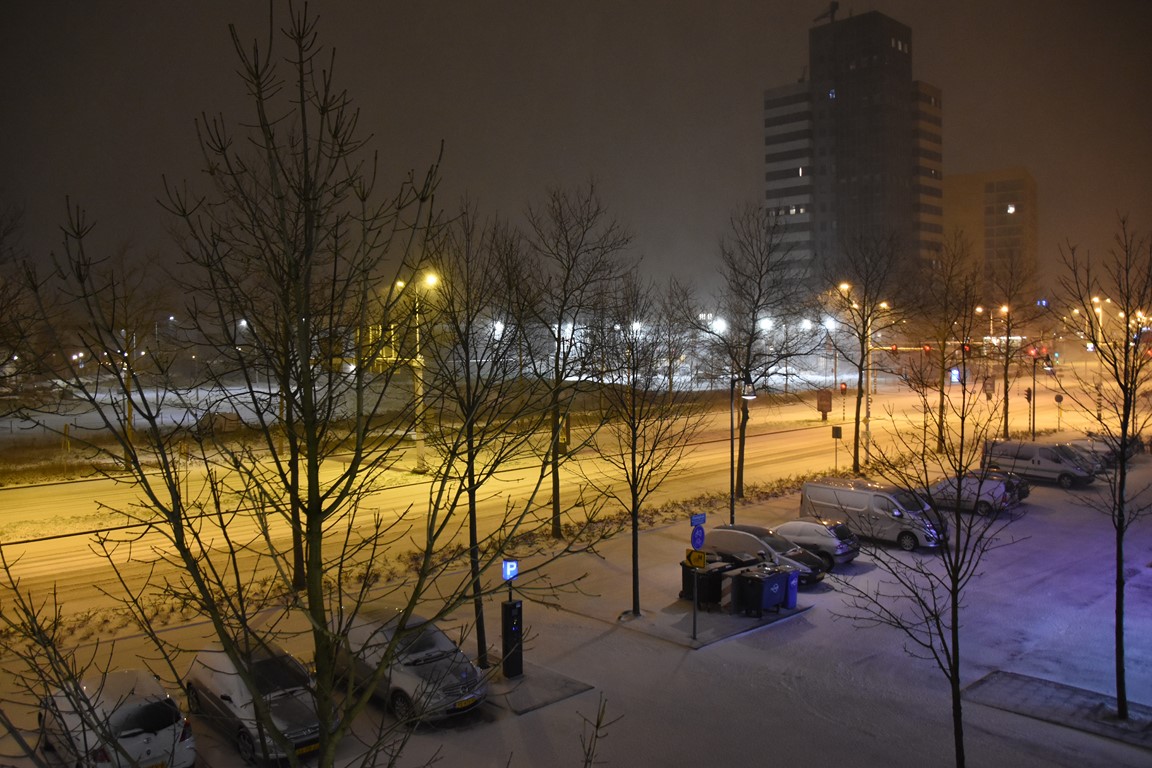 (Foto: Emile van Aelst).