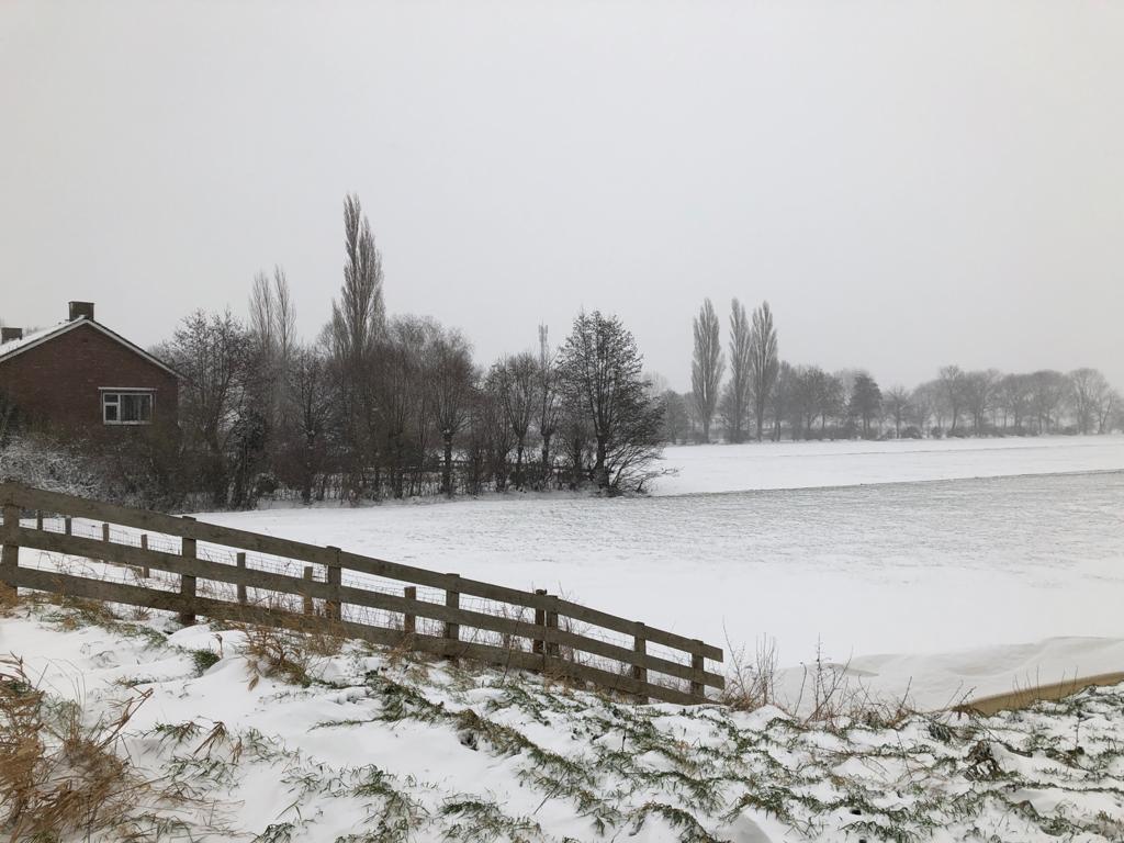 (Foto: Robbert Beurse).