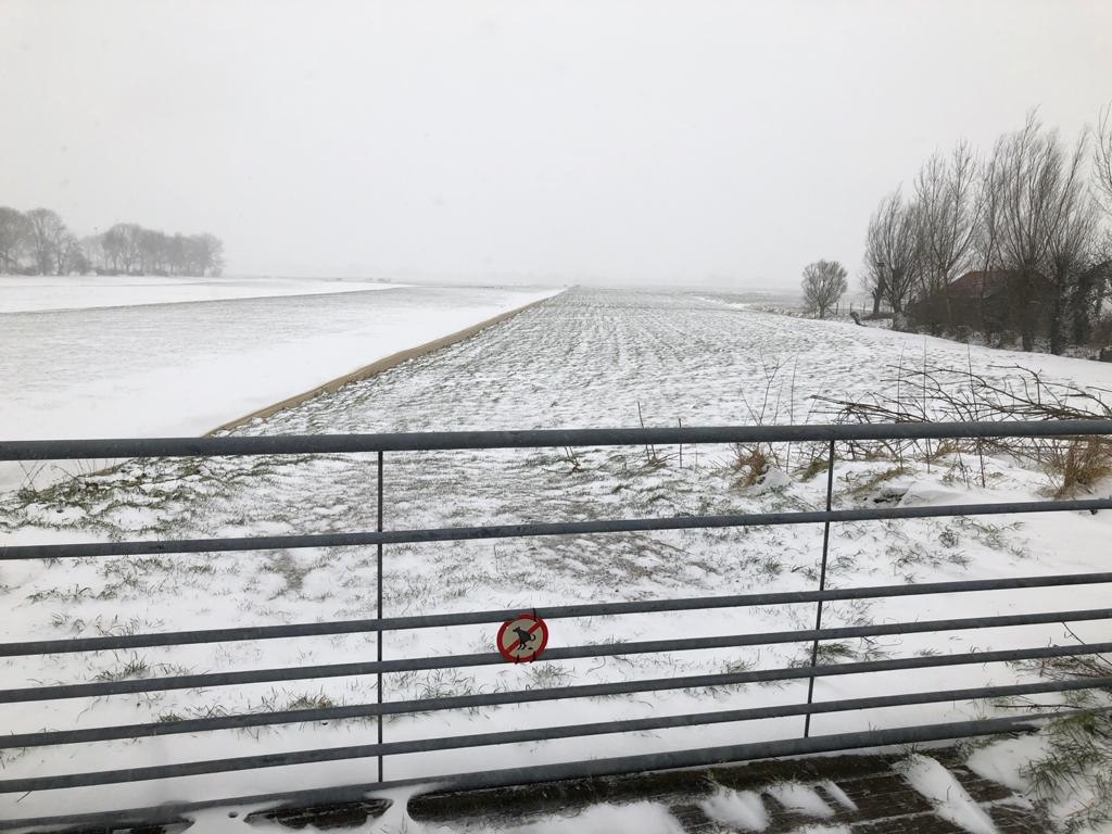 (Foto: Robbert Beurse).