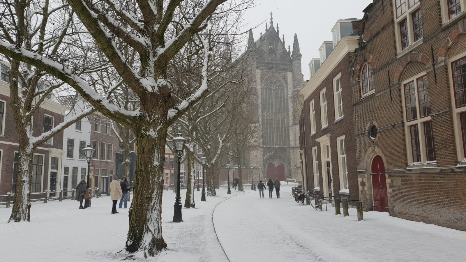 (Foto: Reanne van Kleef).