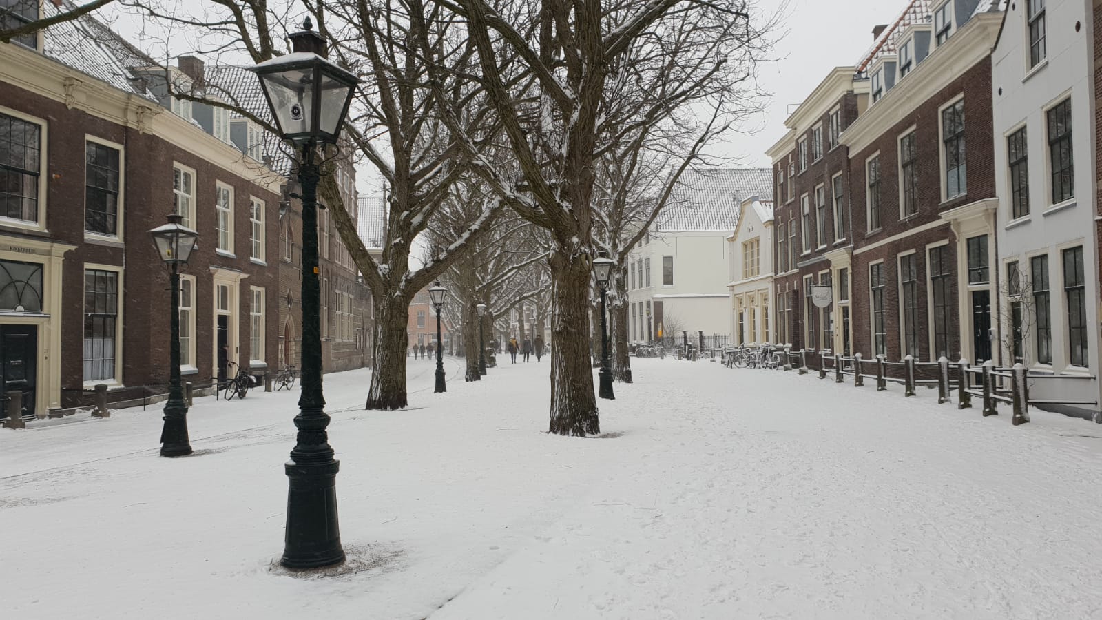 (Foto: Reanne van Kleef).