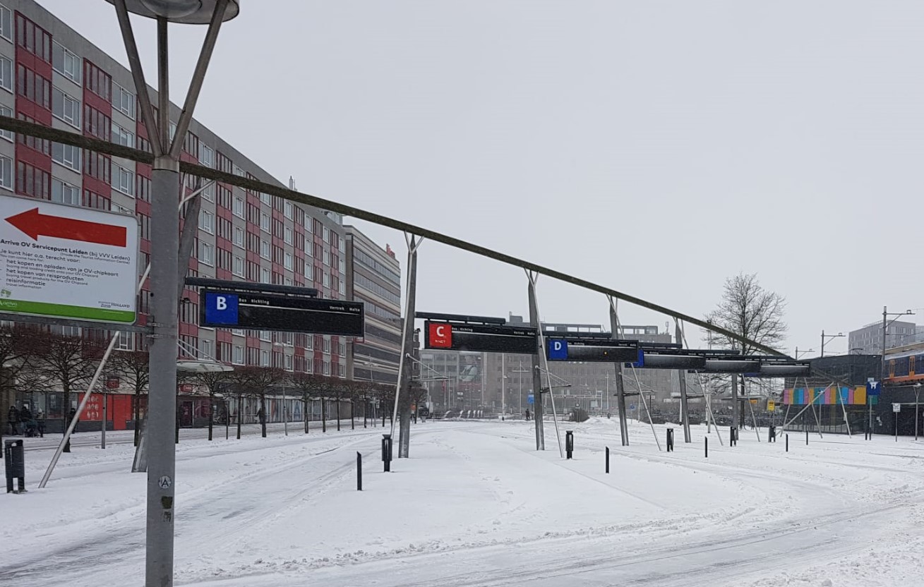 (Foto: Frank Steenkamp).