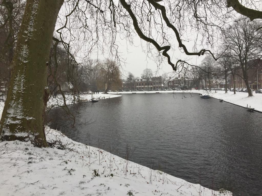 (Foto: Gerry van Bakel).