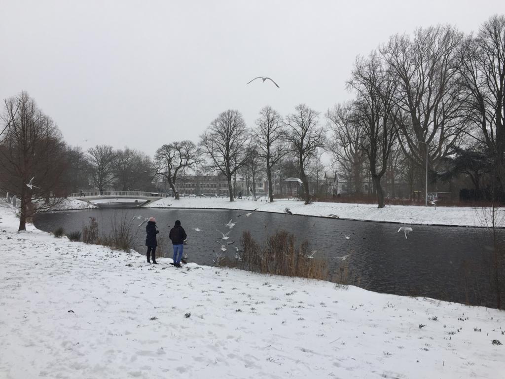 (Foto: Gerry van Bakel).