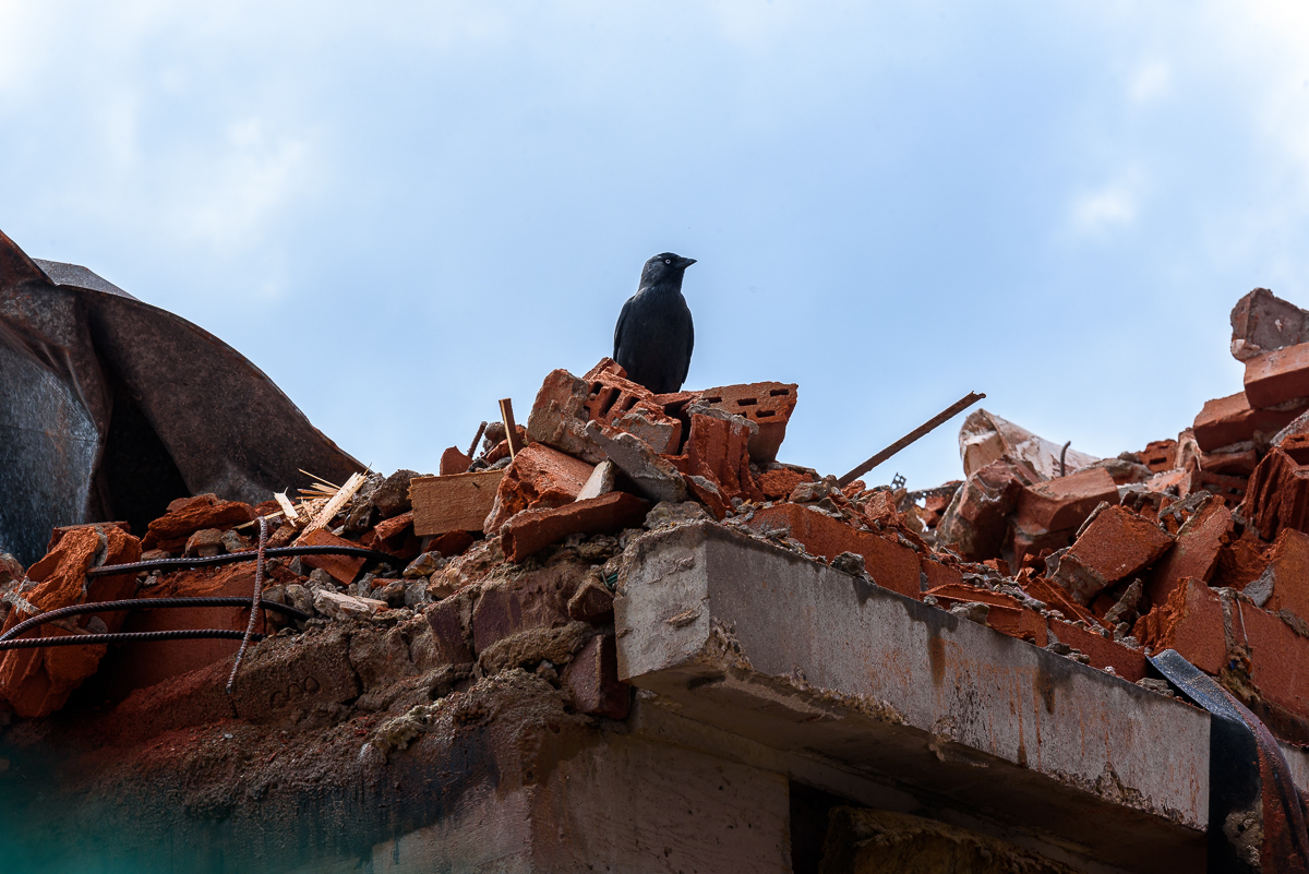 Foto door: Rob van Dullemen ©