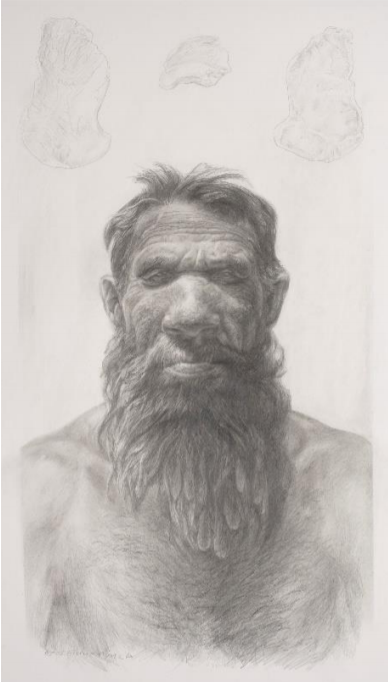 Krijn. (Illustratie: Kennis&Kennis / Universiteit
Leiden)