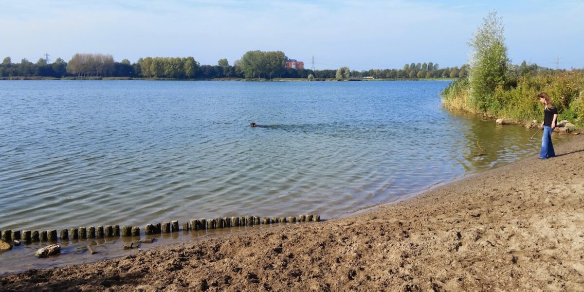 Opgepast: blauwalg aangetroffen in Klinkerbergerplas