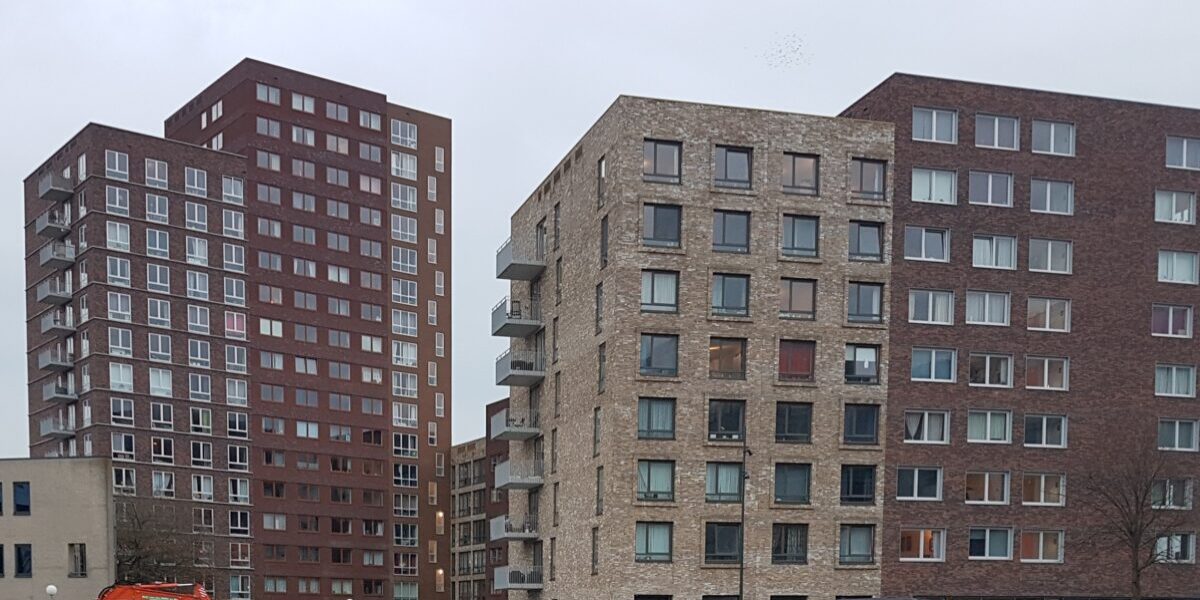 Stroomstoring de druppel: raad vraagt aandacht voor aanhoudende problemen Omegaplantsoen