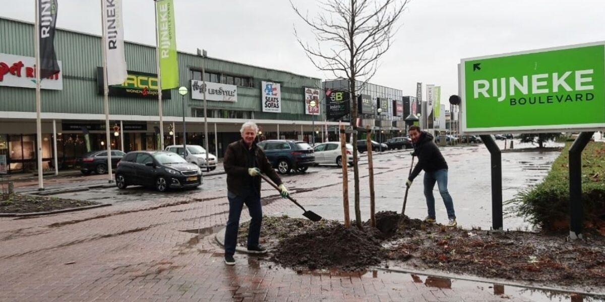 Project Boeiend Bloeiend Rijneke afgerond: 'De boulevard is nu een groene oase'