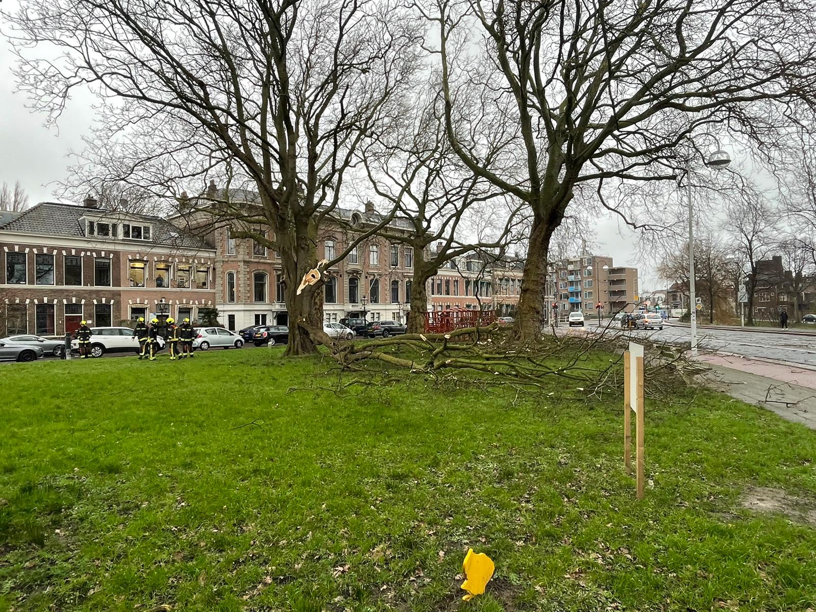 Plantage (Foto: Regio15).