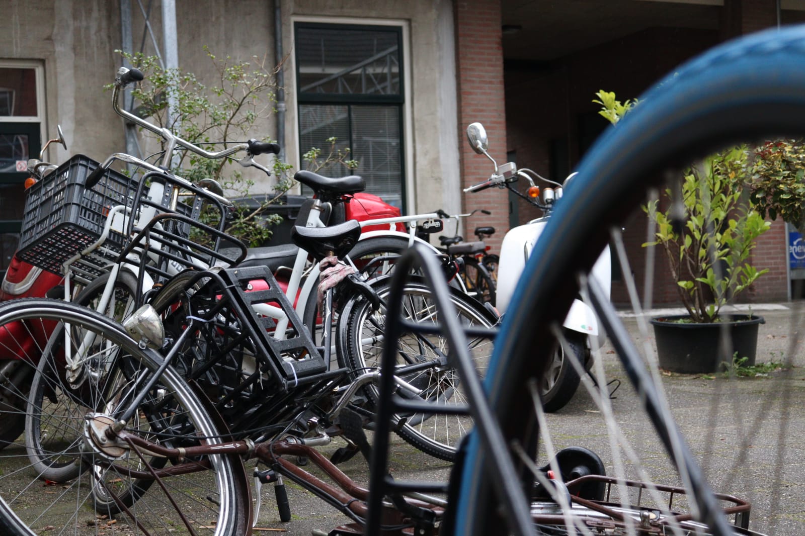 Leidse fietsen (Foto: Rik Visser).