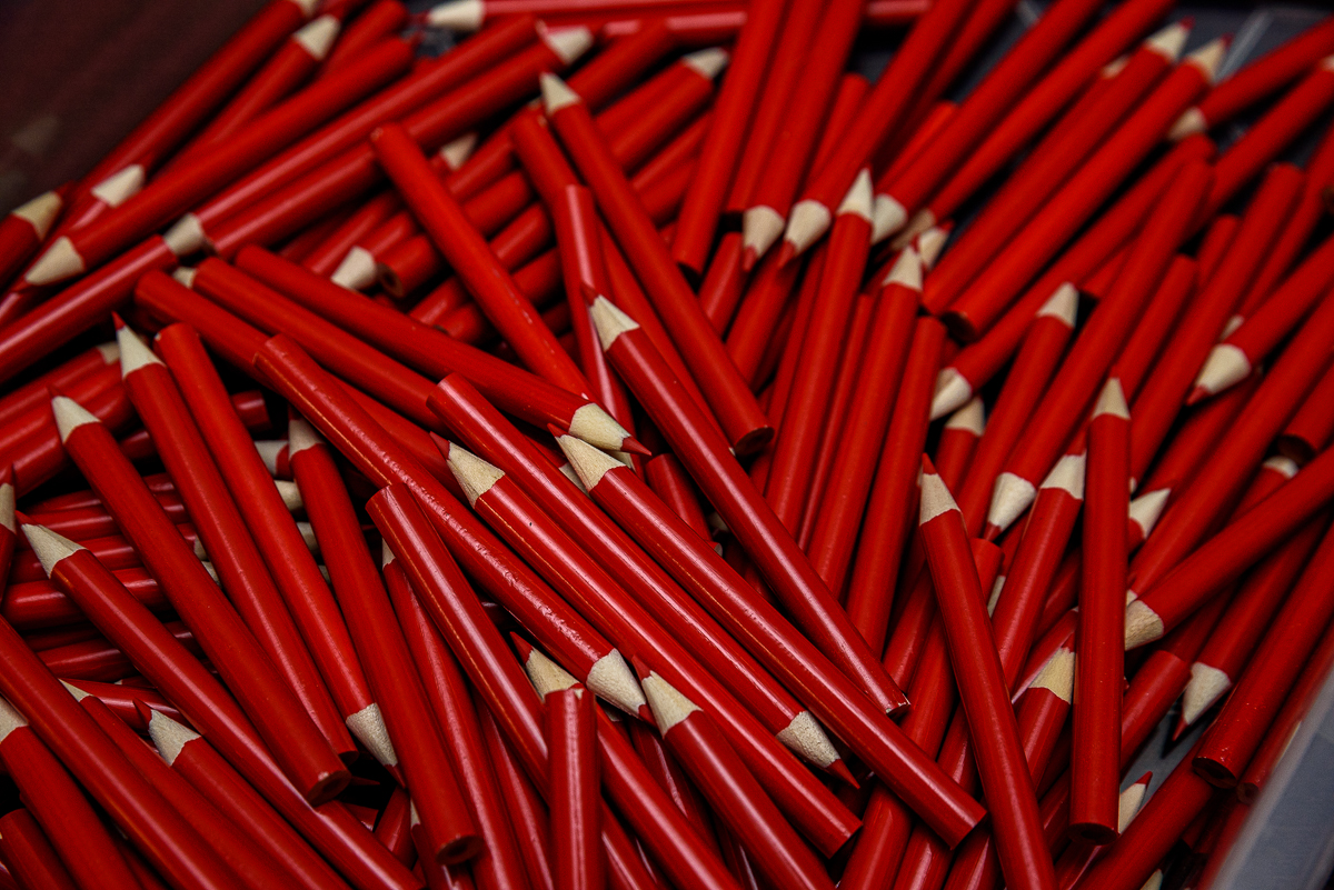 Stempotloden - Foto door: Rob van Dullemen ©