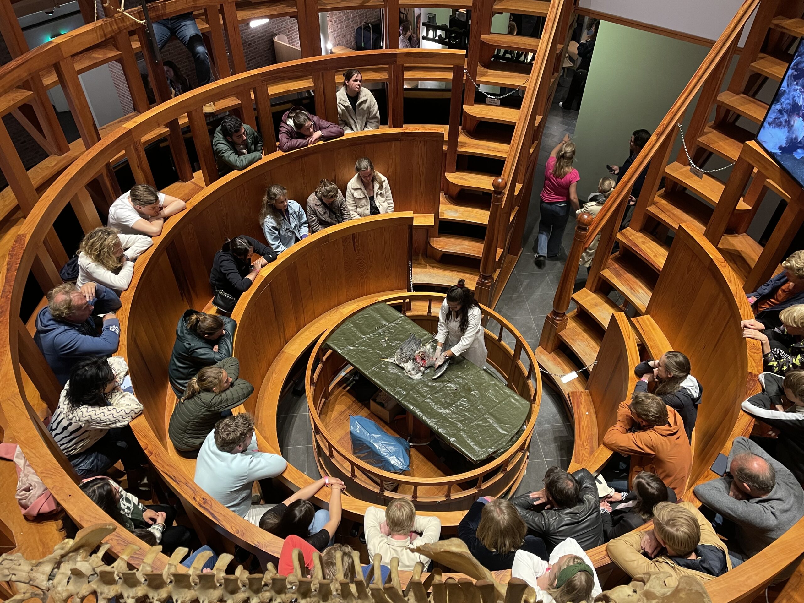 Het anatomisch theater van Rijksmuseum Boerhaave