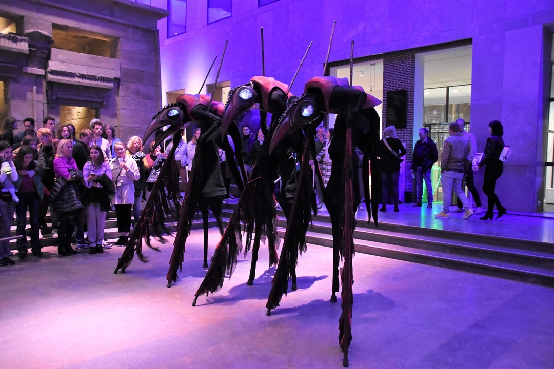 Theaterspel met Feniksen in het Rijksmuseum van Oudheden