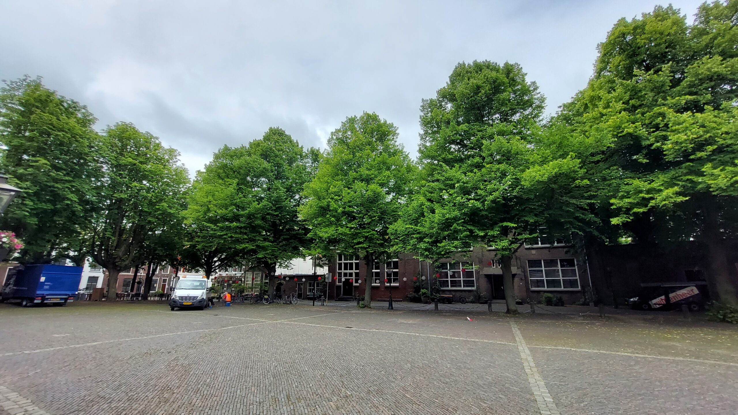 Bomen Pieterskerkhof