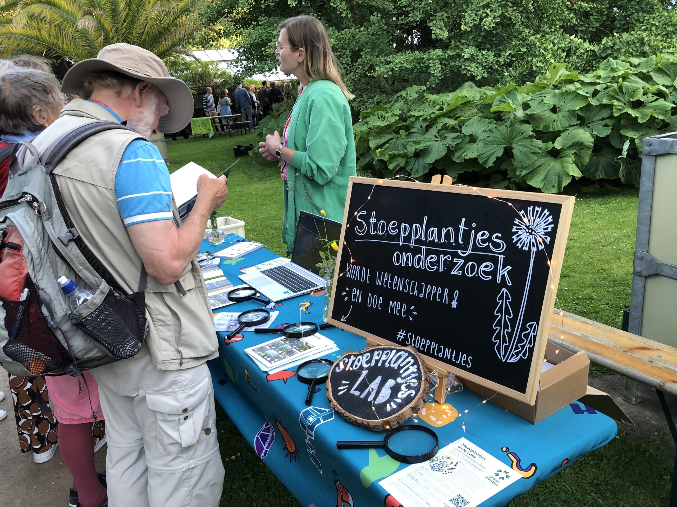 Stoepplantjesonderzoek
