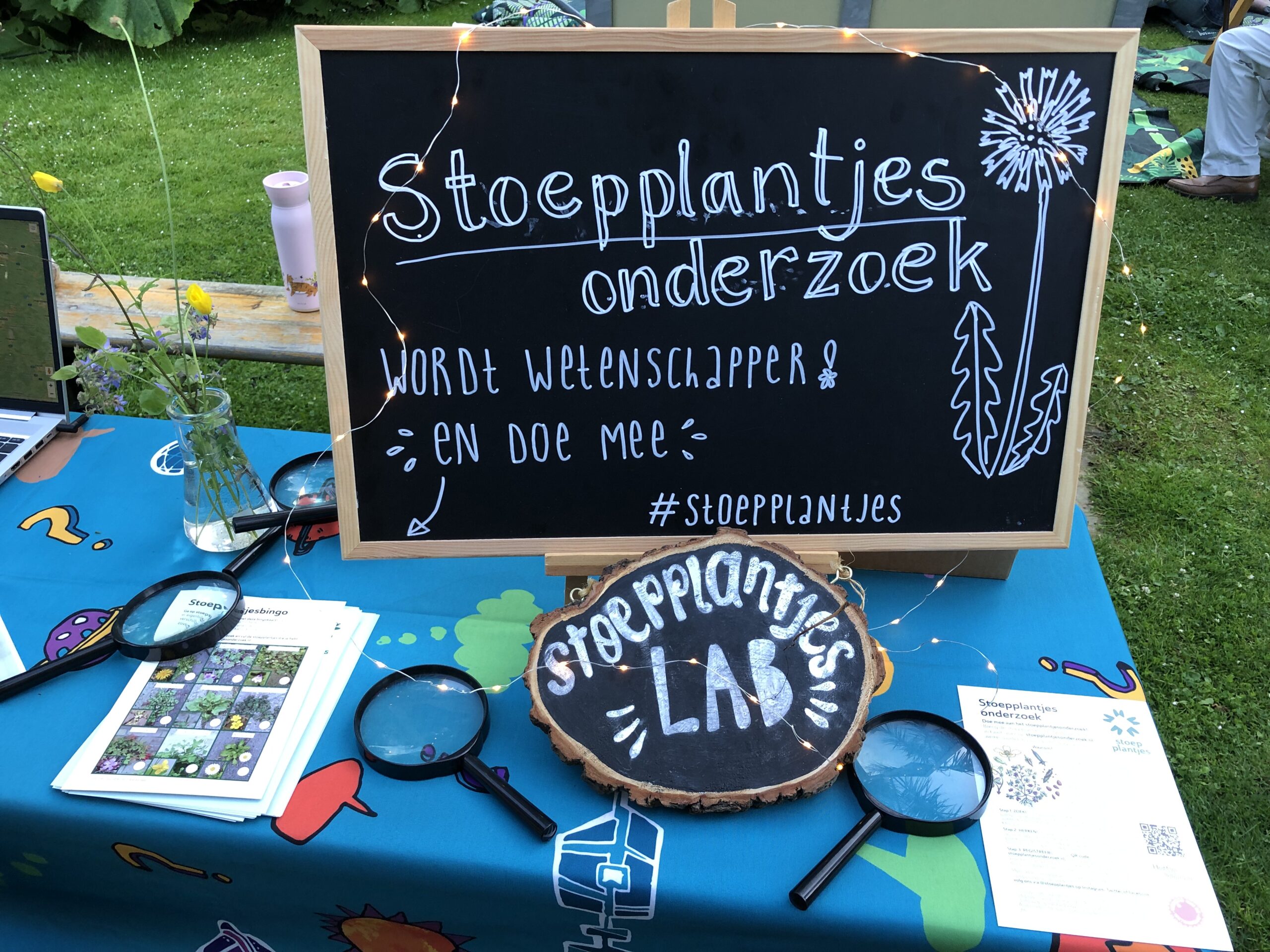 Stoepplantjesonderzoek