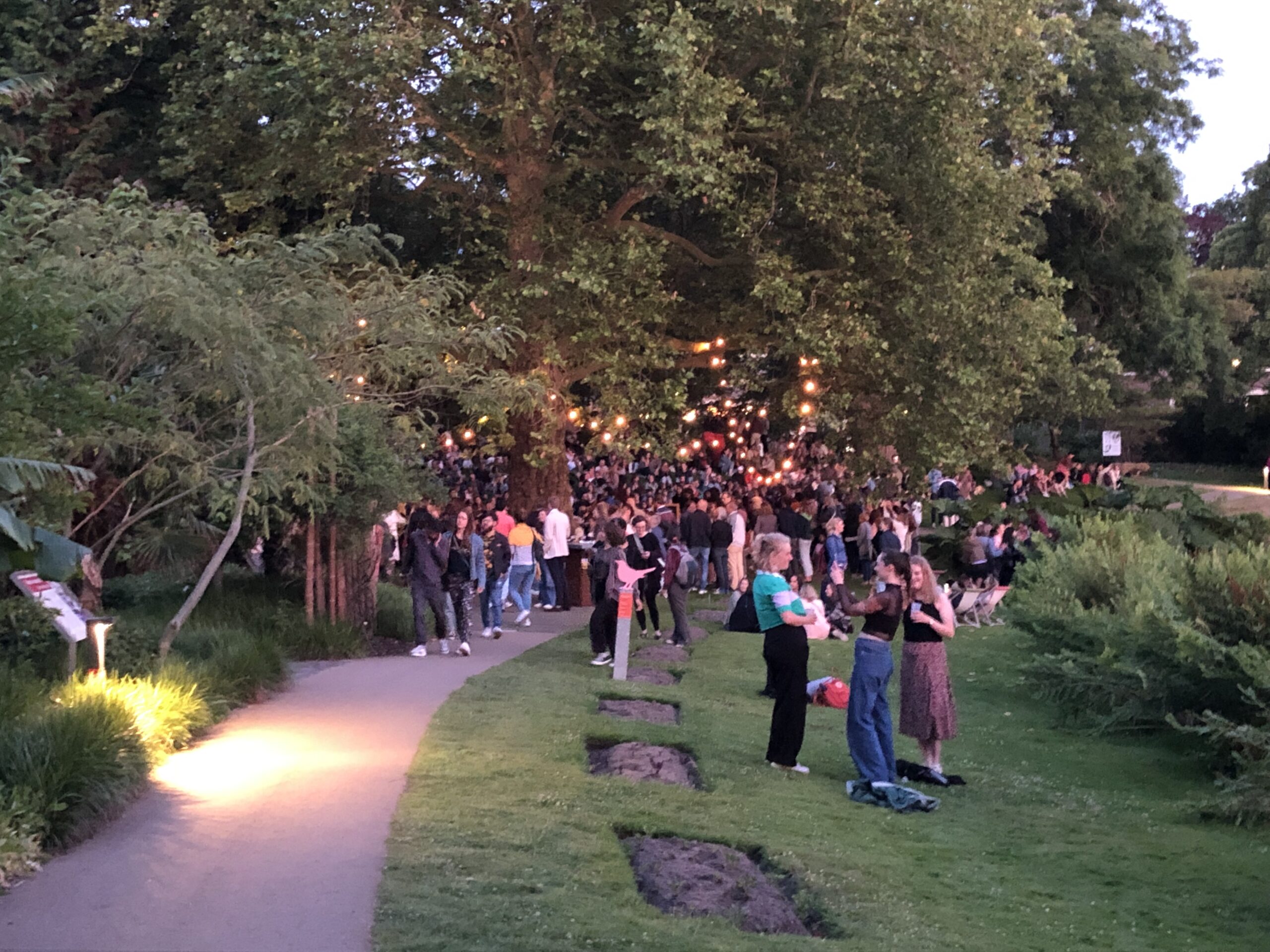 Midzomernacht in de Hortus Botanicus