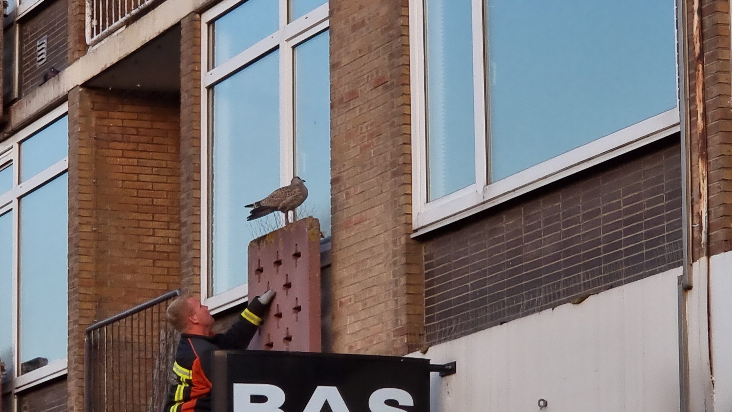 Brandweer in actie Luifelbaan