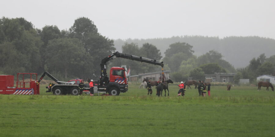 Brandweer Takelt Paard Uit Sloot Langs Europaweg | Sleutelstad