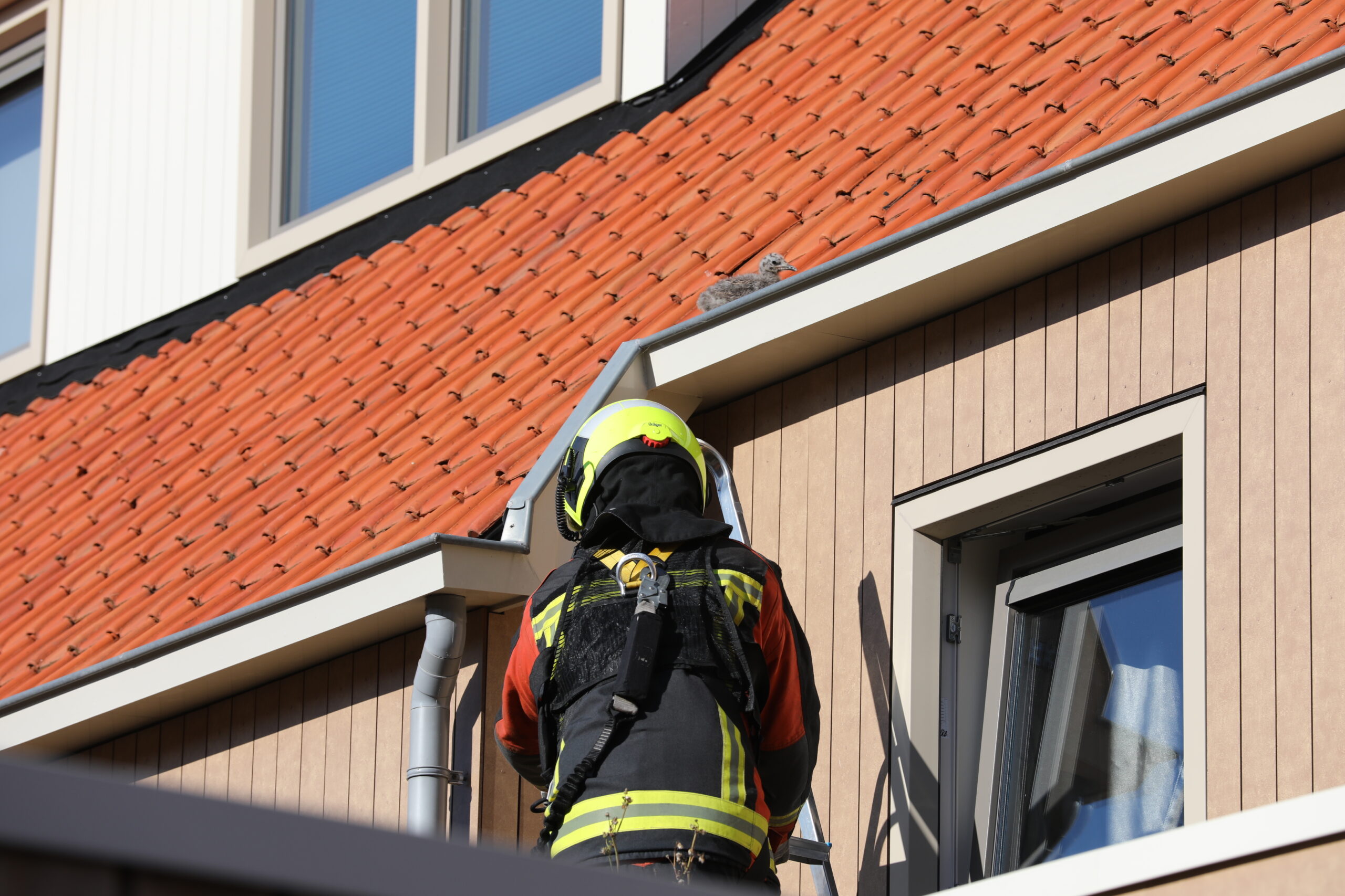 Eerste keer Lombokstraat