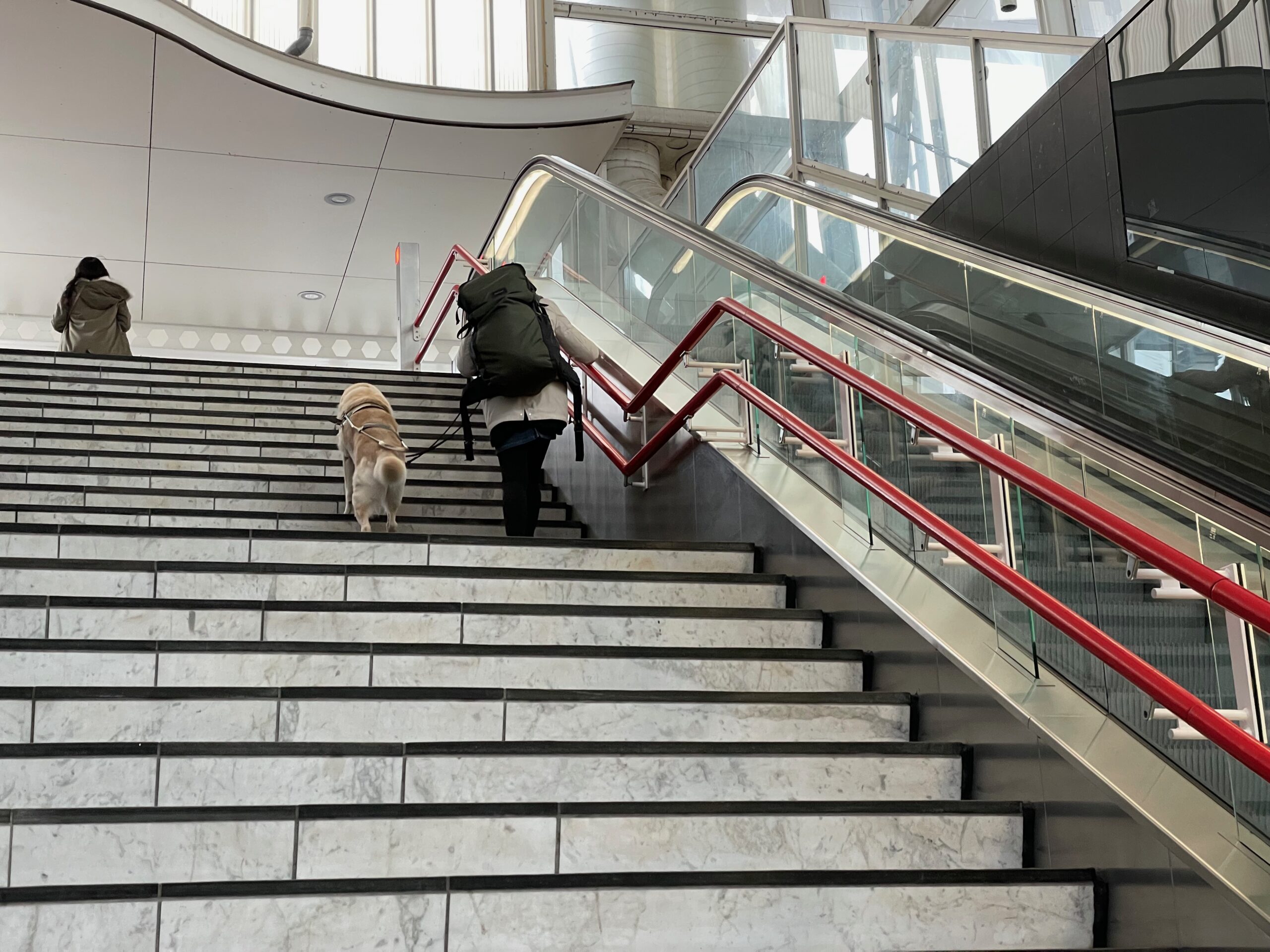 Kirsten Veldhoen met haar hond Pim op weg naar de trein.