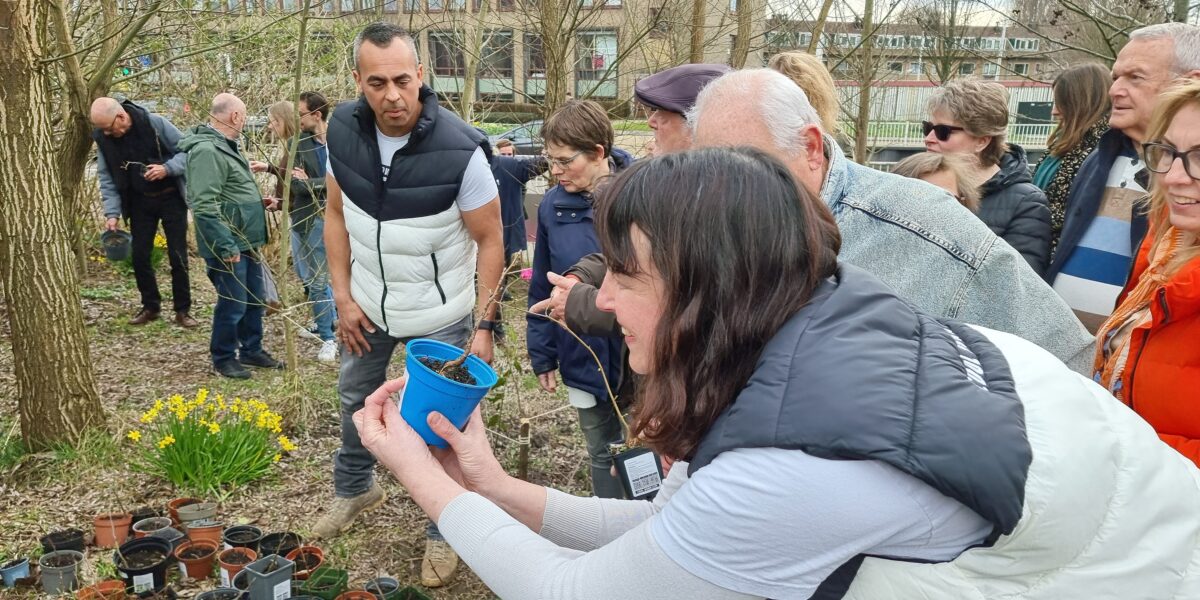 Adopteer een gratis babyboom voor een koelere stad