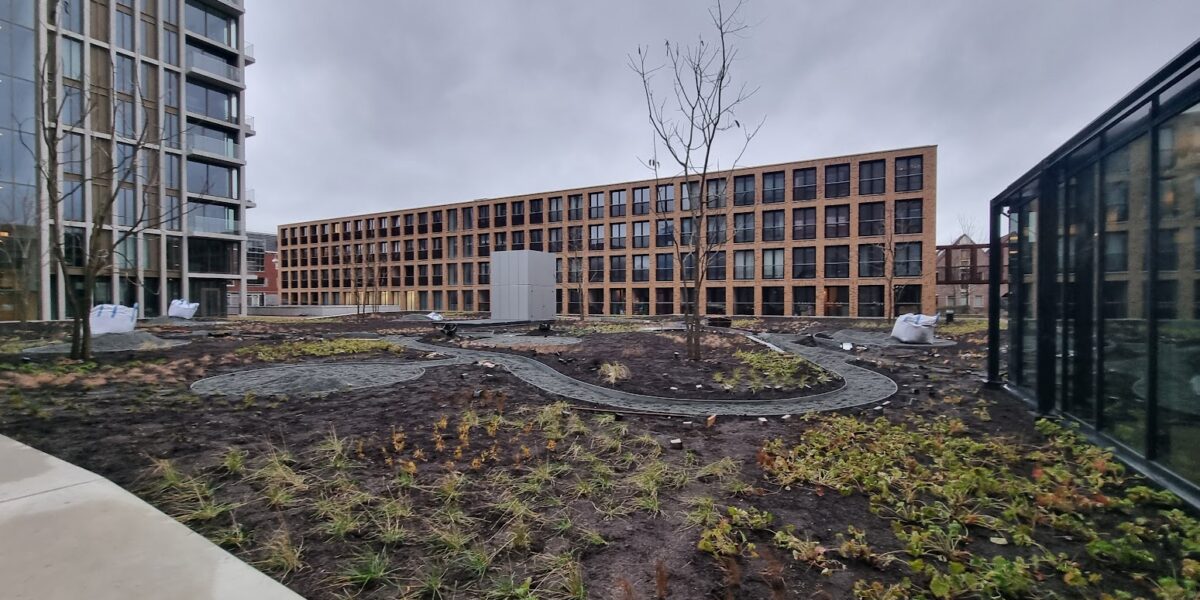 Singelparkwandeling met gids van Zijlpoort naar Plantsoen