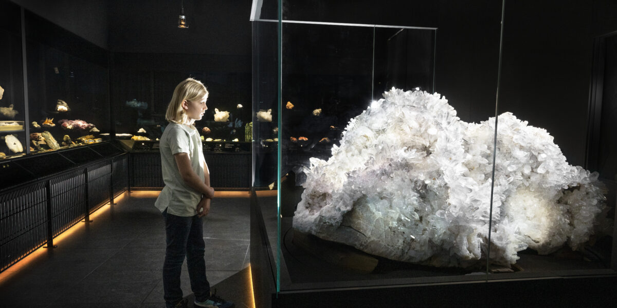 Reuzenbergkristal vanaf nu te zien bij Naturalis