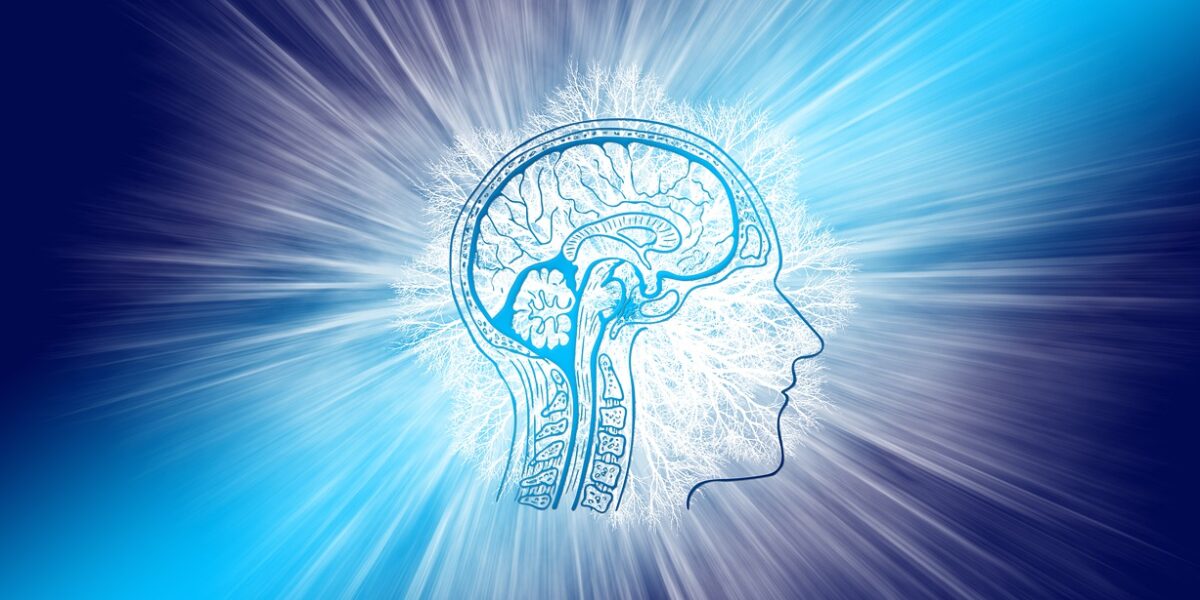 Breinfestival Over de Kop over het belang van onze hersenen