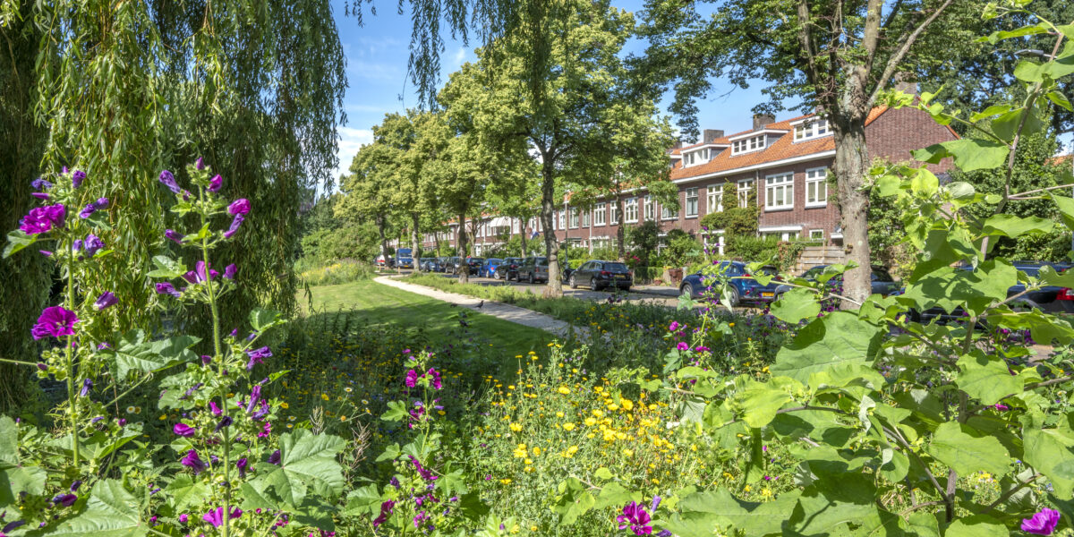 Leiden blijft zoeken naar evenwichtige combinatie van bouwen en vergroenen