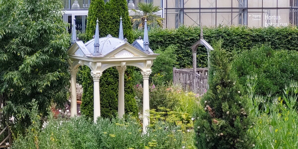 Hortus Midzomernacht Festival: ‘meer dan alleen heel veel plantjes’