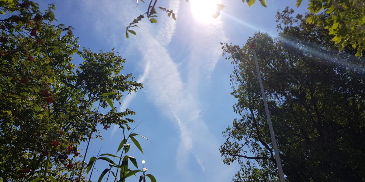 Onderzoeker hitte in Leiden: ‘Nu hopen op een mooie hittegolf’