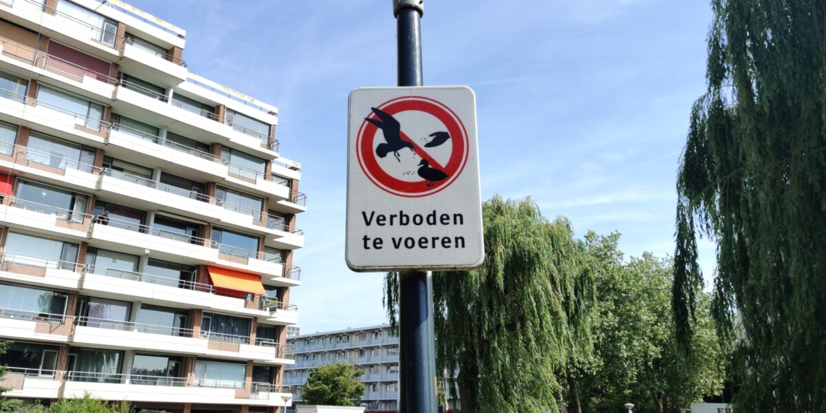 Boete van 150 euro voor het voeren van vogels in de stad