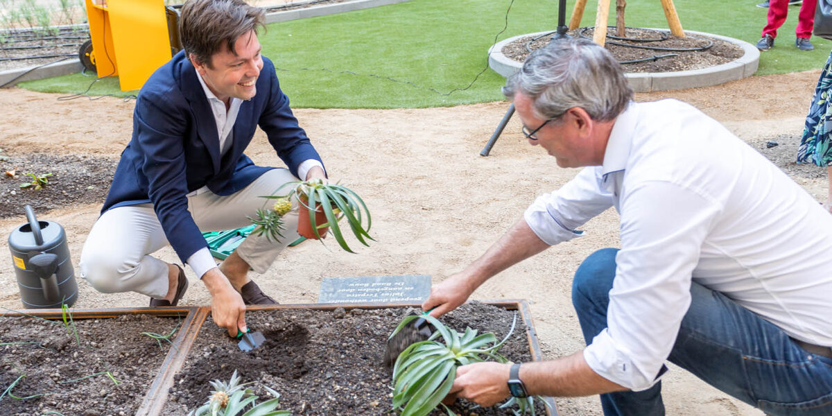 Binnentuin appartementencomplex De Ananas geopend