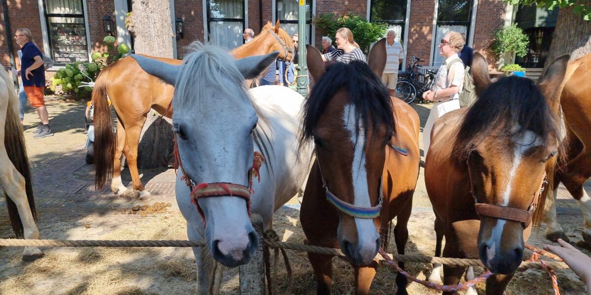 Voorschotense Paardendagen in aantocht, ondanks groeiende kritiek