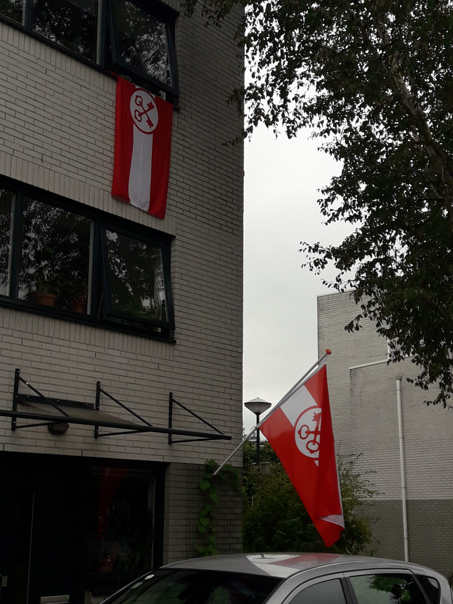 Martijn van der Meer