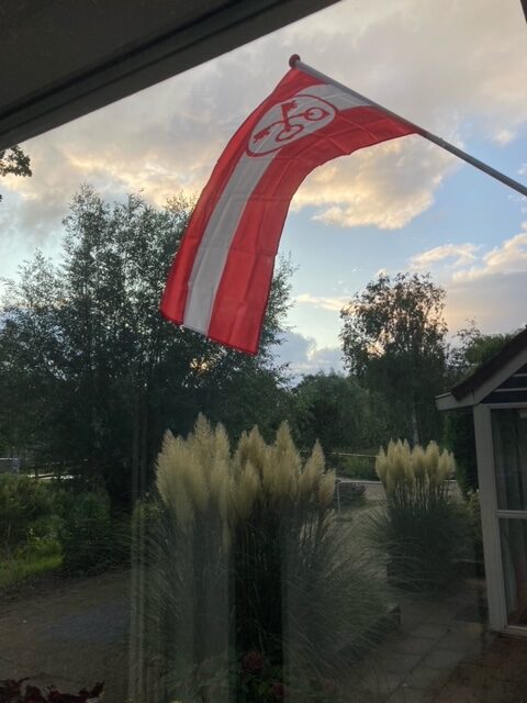 Sander van Veldhuijsen